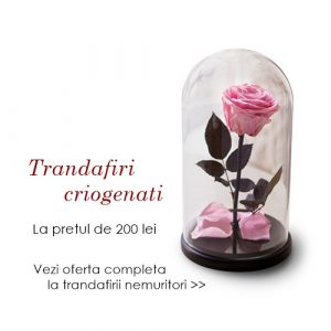 trandafiri criogenati nemuritori